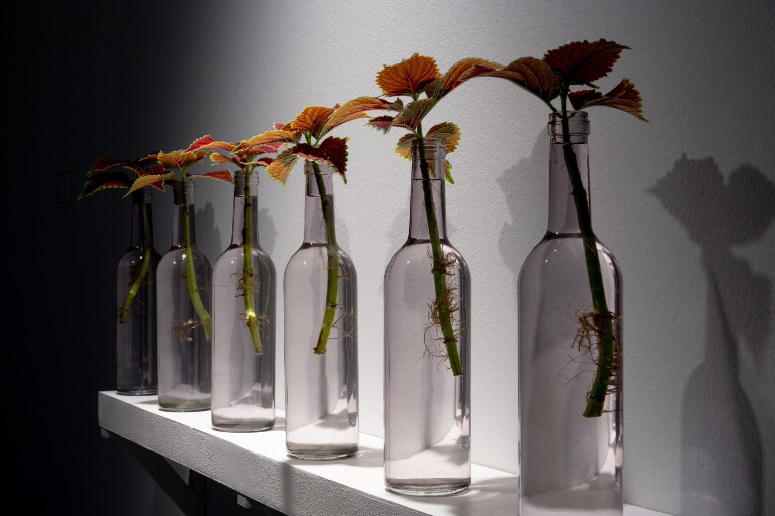 Design sans titre (23)